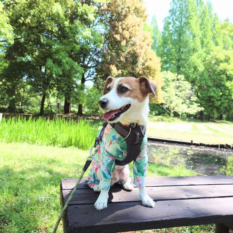 空(くう)ちゃん