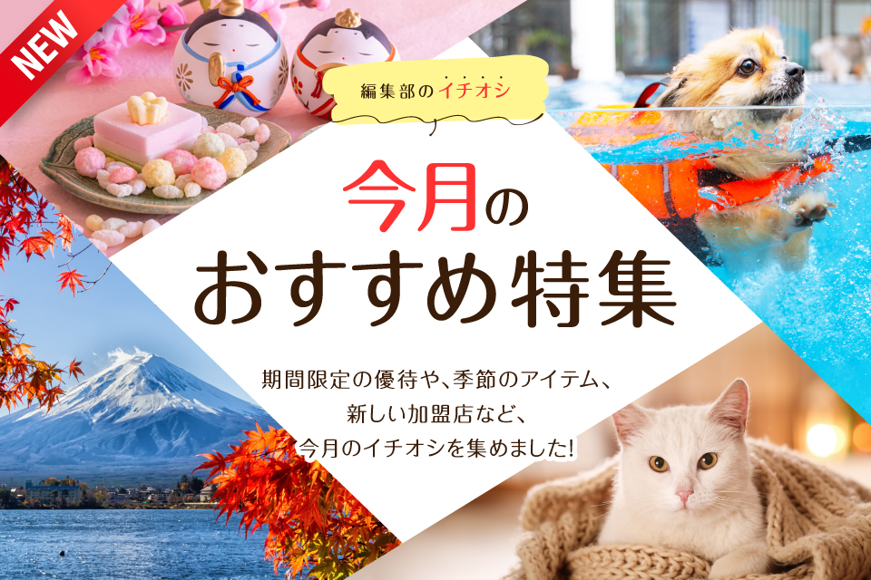 今月のおすすめ特集