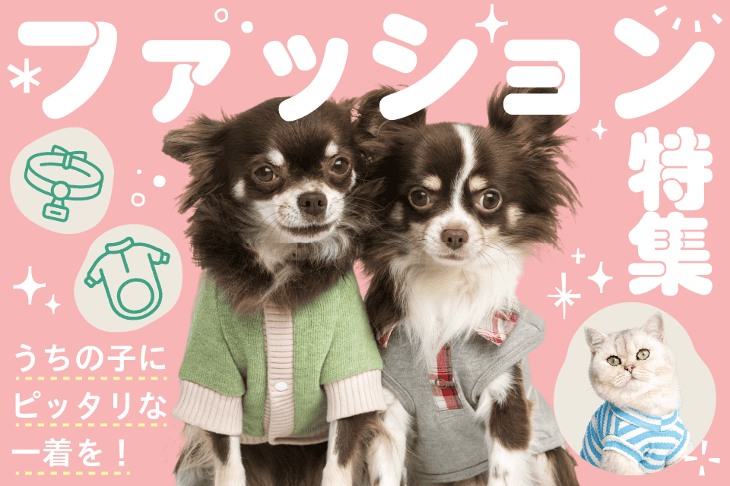 ファッション特集