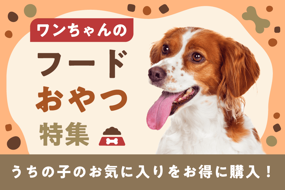 ワンちゃんのフード・おやつ特集