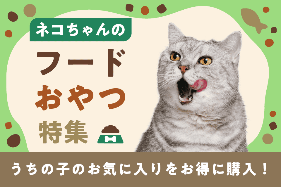 ネコちゃんのフード・おやつ特集