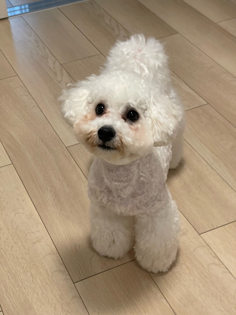 みんなのレビュー特集#20