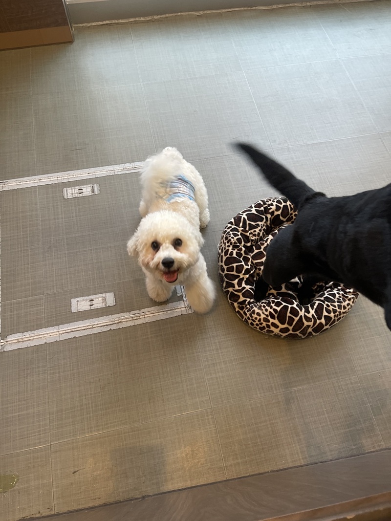 みんなのレビュー#20