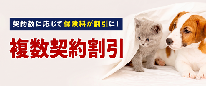 お得な複数契約割引