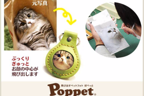 飛び出すキーホルダー『Poppet® ぽぺっと』 | クラブアイペット