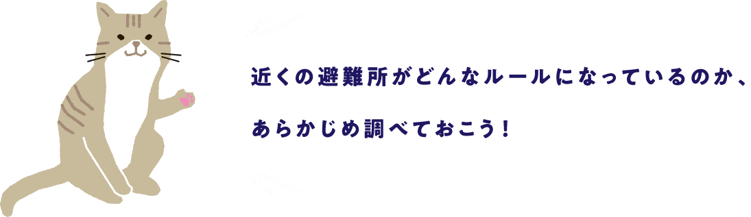 近くの避難所がどういうルールになっているのか、あらかじめ調べておこう！