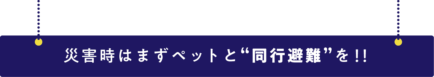 災害時はペットとの同行避難が原則です