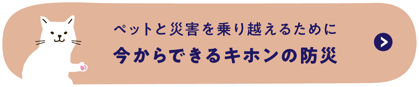 ペットと災害を乗り越えるために今からできるキホンの防災