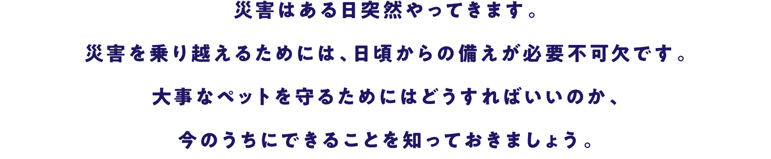 災害はある日突然やってきます。災害を乗り越えるためには、日ごろからの備えが必要不可欠です。大事なペットを守るためにはどうすればいいのか、今のうちにできることを知っておきましょう。同行避難や災害を乗り越えるためのキホンの防災について学んでいきましょう。