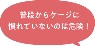 普段からケージに慣れていないのは危険！