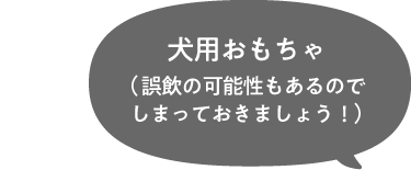 犬用おもちゃ（誤飲の可能性もあるのでしまっておきましょう！）