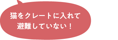 猫をクレートに入れて避難していない！