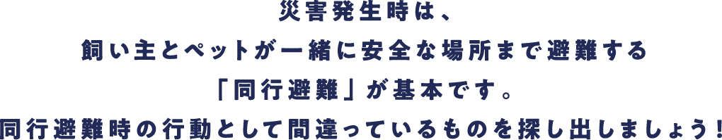 災害発生時は、飼い主とペットが一緒に安全な場所まで避難する「同行避難」が基本です。同行避難時の行動として間違っているものを探し出しましょう！