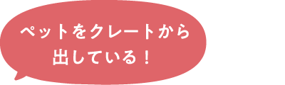 ペットをクレートから出している！