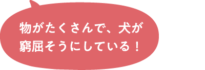 物がたくさんで、犬が窮屈そうにしている！