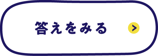 正解を見る