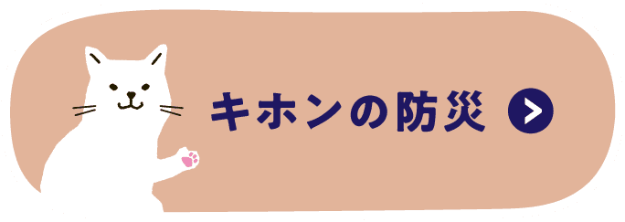 キホンの防災