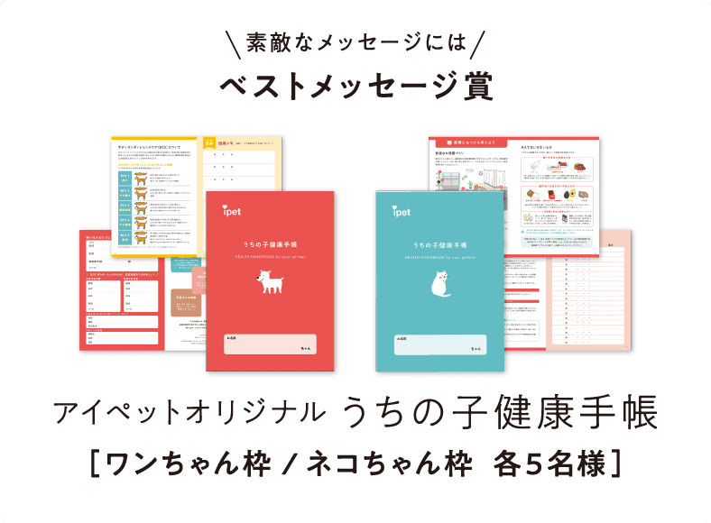 うちの子カレンダー アイペット損害保険株式会社 うちの子カレンダー アイペット損害保険株式会社