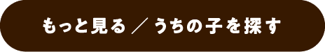 もっと見る／うちの子を探す