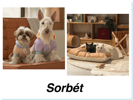 Sorbet