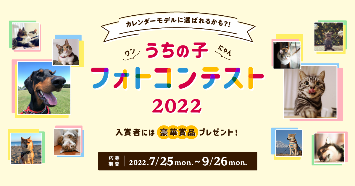 うちの子フォトコンテスト22 アイペット損害保険株式会社 うちの子フォトコンテスト22 アイペット損害保険株式会社