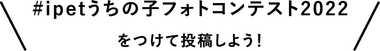 #ipetうちの子フォトコンテスト2022 をつけて投稿しよう！