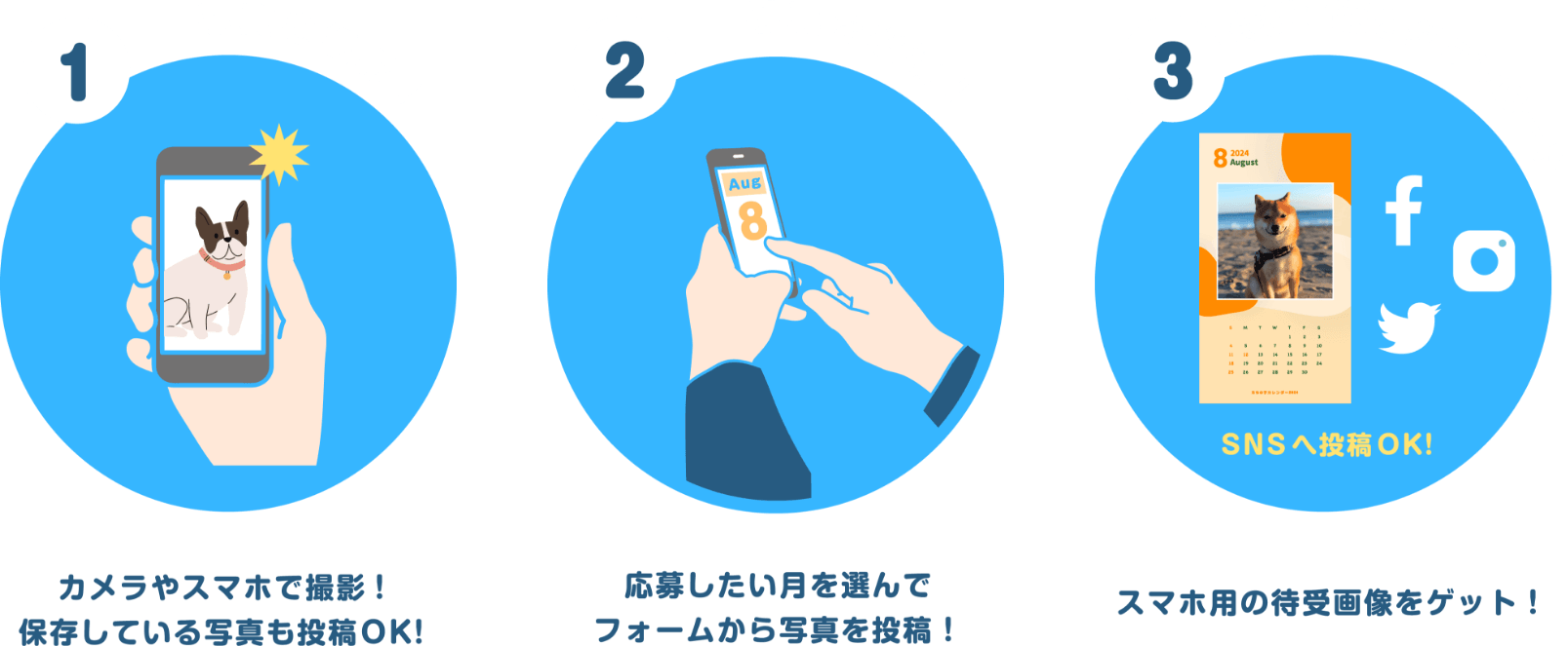 1. 写真を撮影！ 2.写真を投稿！ 3.待受画像をダウンロード