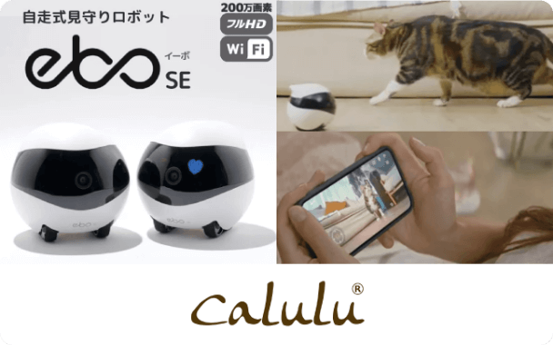 自走式見守りロボットEBO SE&カレンダー