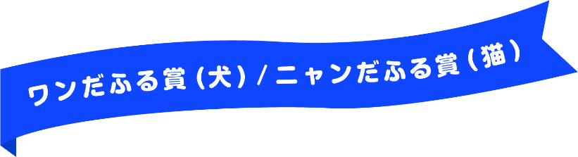 ワンだふる賞（犬）／ニャンだふる賞（猫）