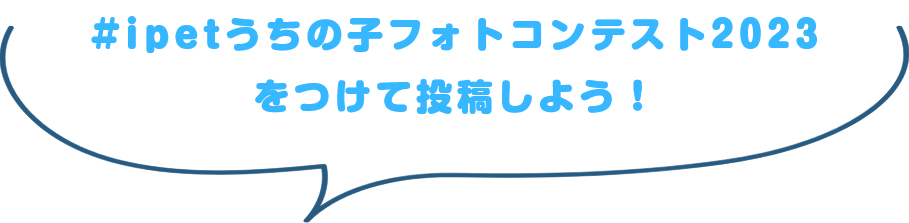 #ipetうちの子フォトコンテスト2023 をつけて投稿しよう！