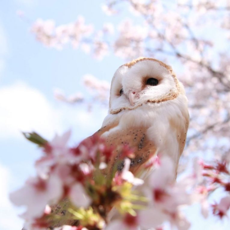 【4月】ソイちゃん