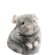 ネズミ