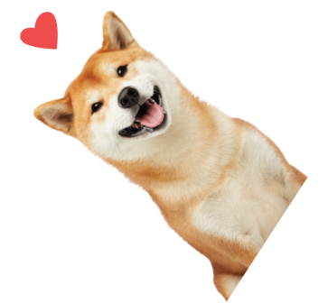犬