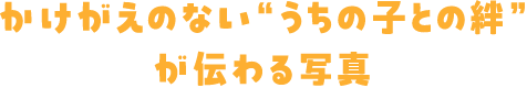 かけがえのない”うちの子との絆”が伝わる写真