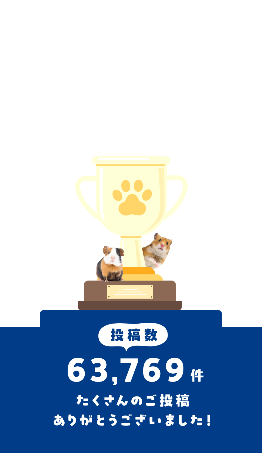 投稿数63,769件たくさんのご投稿ありがとうございました！