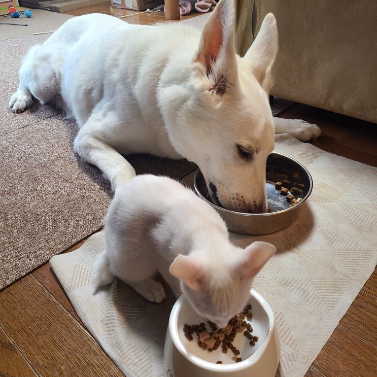 Luke  & 翠ちゃん