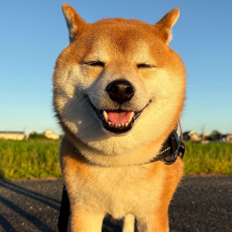 大和ちゃん