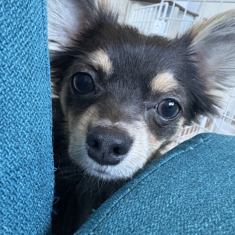 JOちゃん