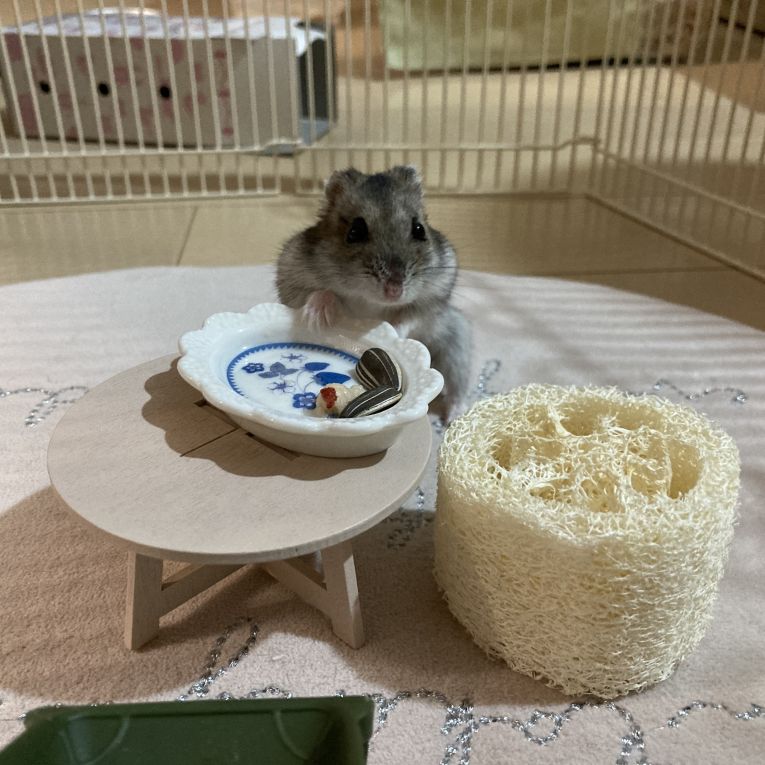 キャスバルちゃん