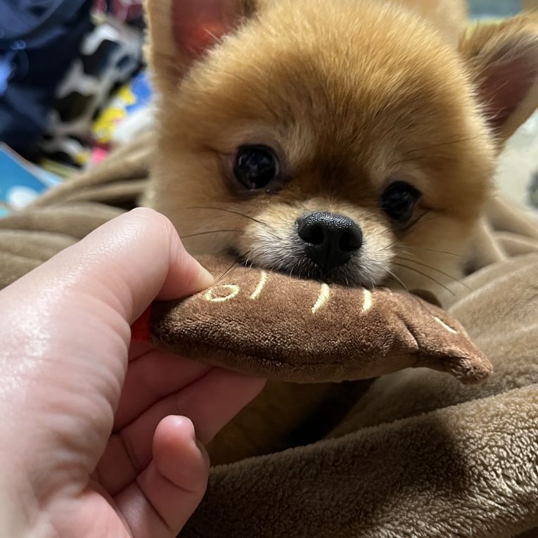 そらちゃん