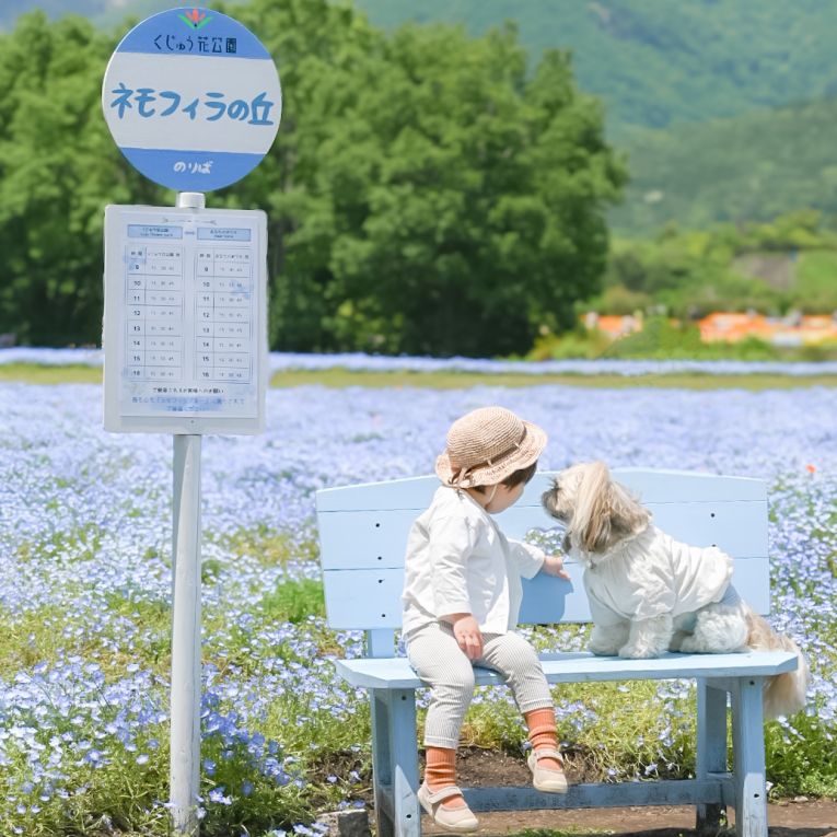 ルークちゃん