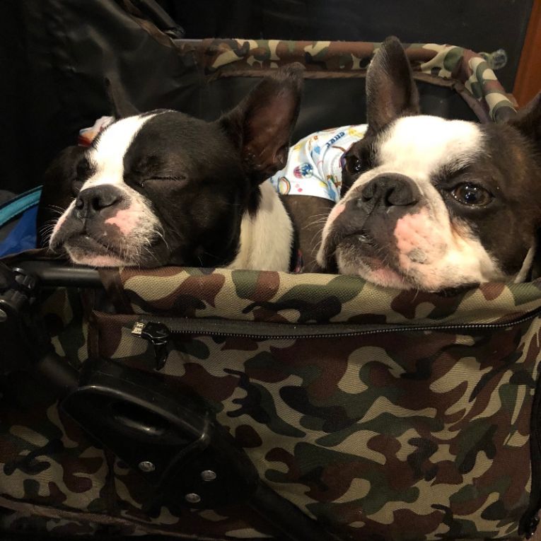 大将&ちぃちゃん