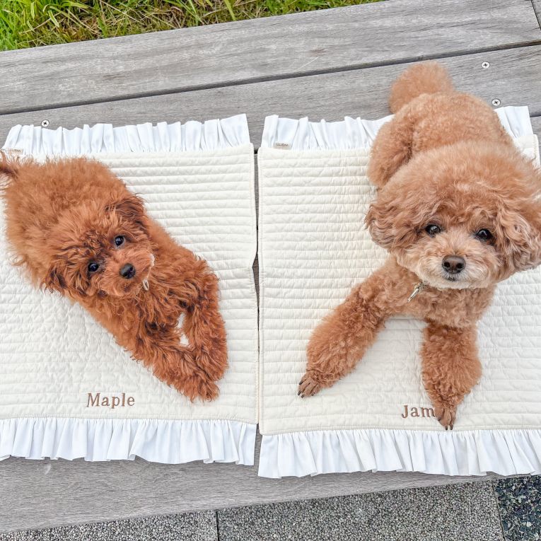 ジャムメープルちゃん