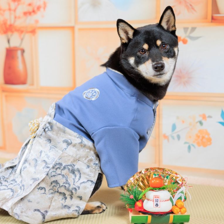 定春ちゃん
