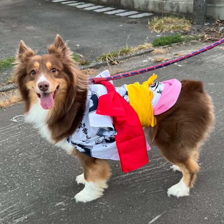 レオンちゃん