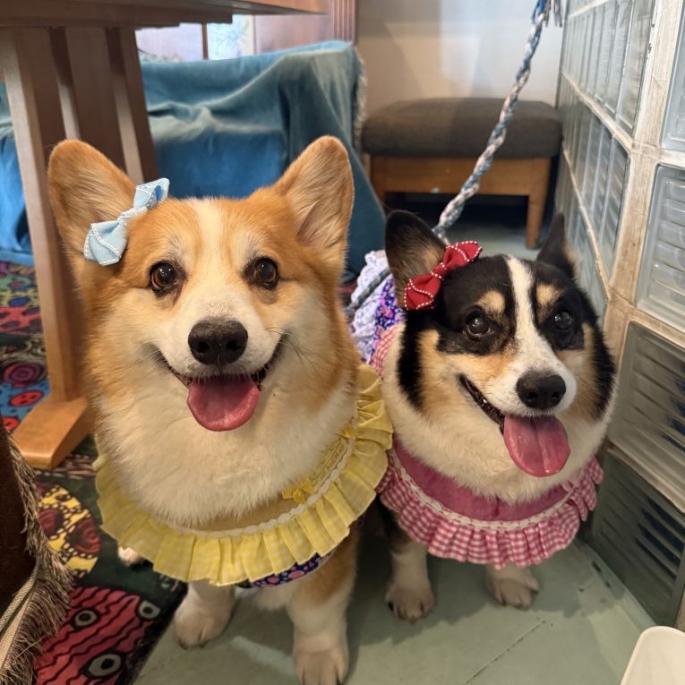 MOCA・宇宙ちゃん