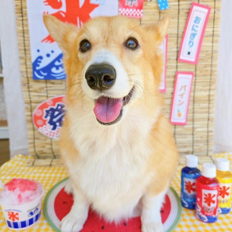 向日葵ちゃん