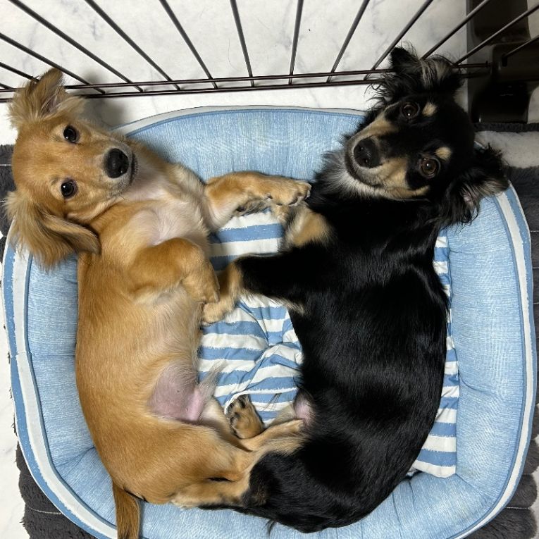 るる&しぇりちゃん