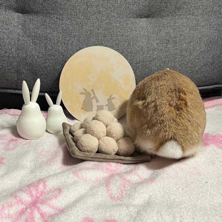 ぷぷちゃん