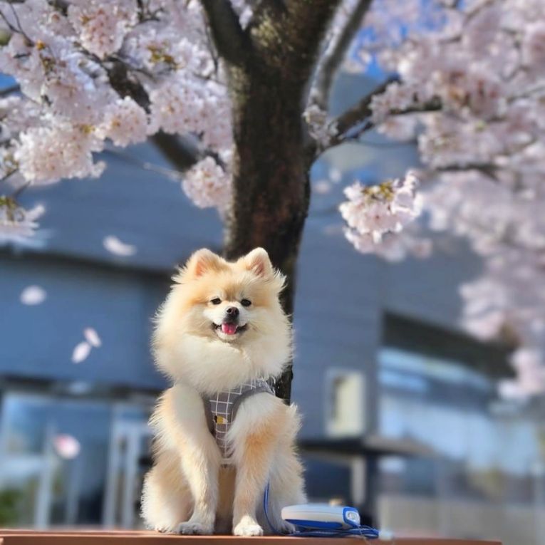 つむぎちゃん
